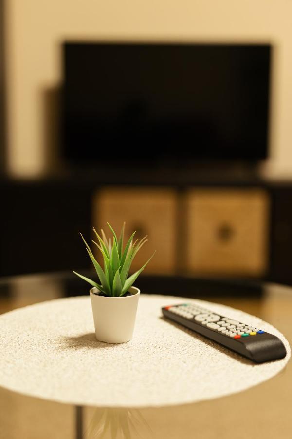 Chic Apartment In Historical City Center 티미쇼아라 외부 사진